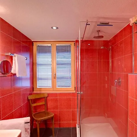 Villa 3 Beds In Traditional Swiss Chalet *